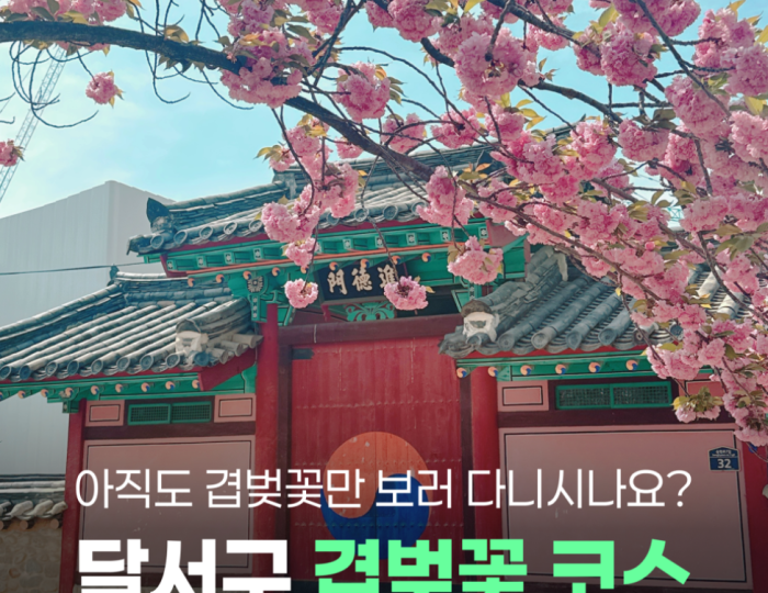 Exploring the Cherry Blossom Route in Daegu's Dalseo District float