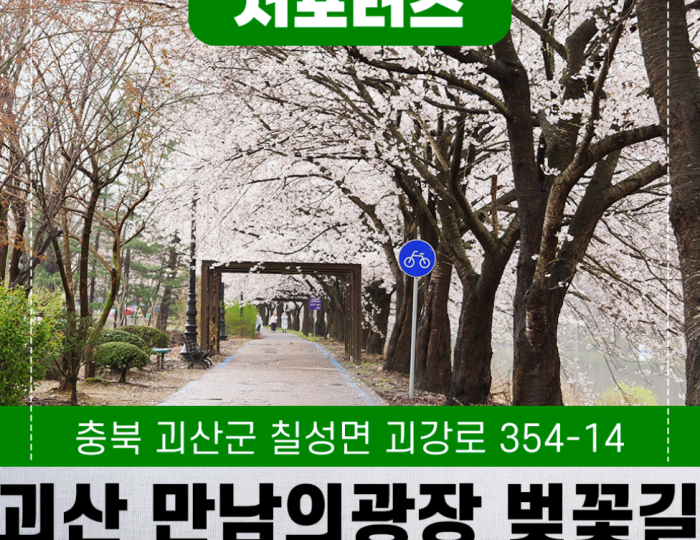 Exploring the Cherry Blossom Path in Goesan float