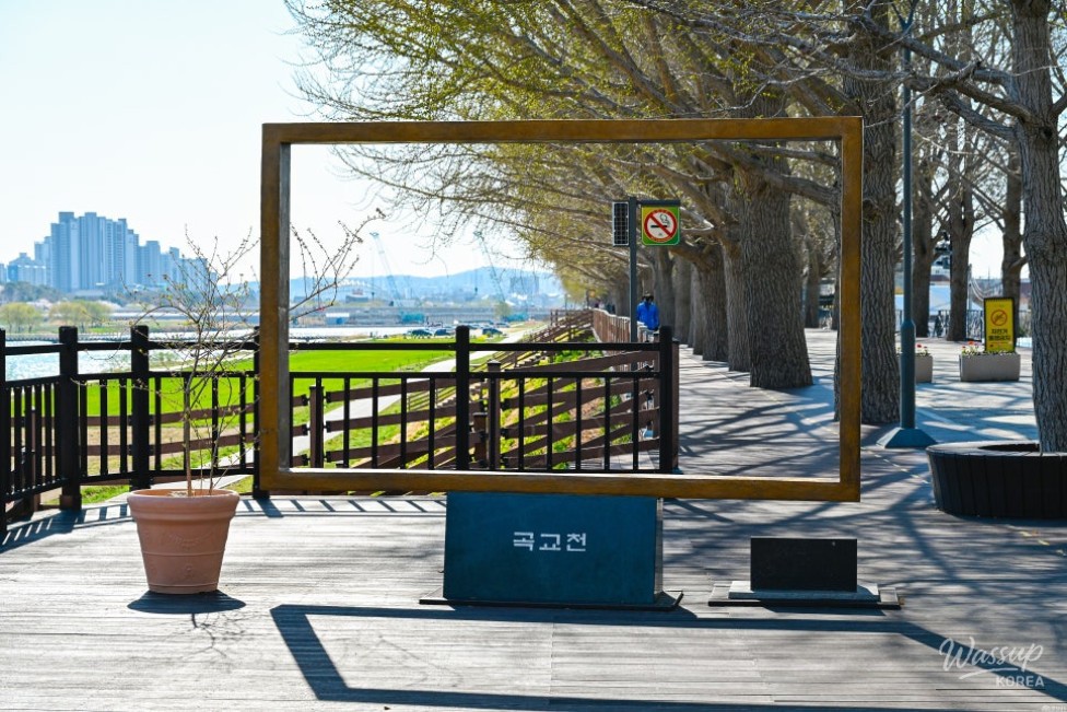 Spring Walks and Historical Experiences in Asan_03