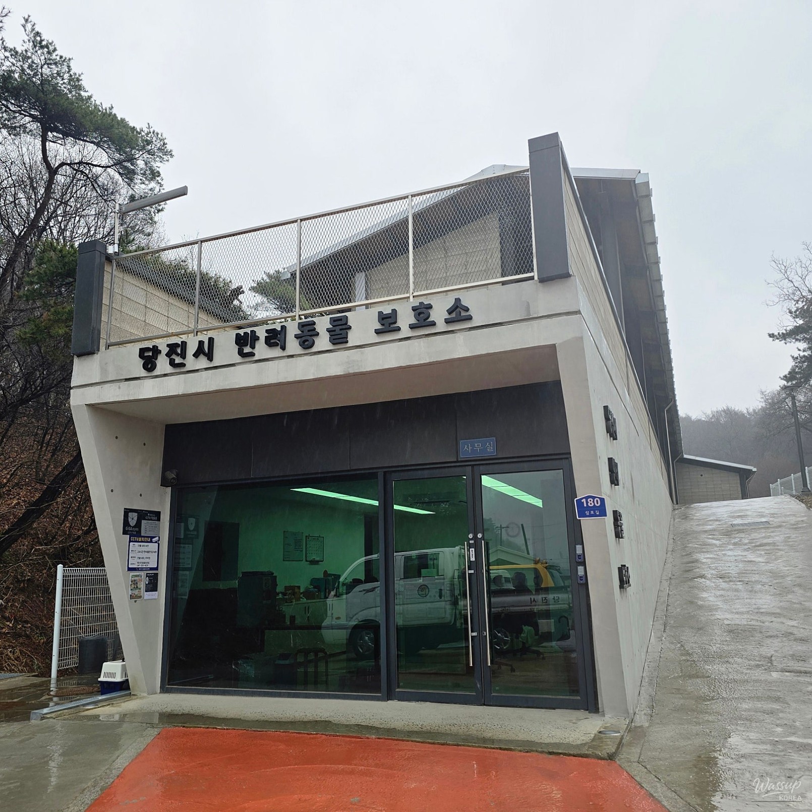 A City Where Humans and Animals Coexist: The Dangjin Animal Shelter_04