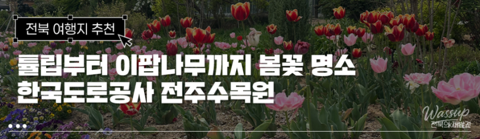Spring Flower Attractions in Jeonju: Free Admission_01