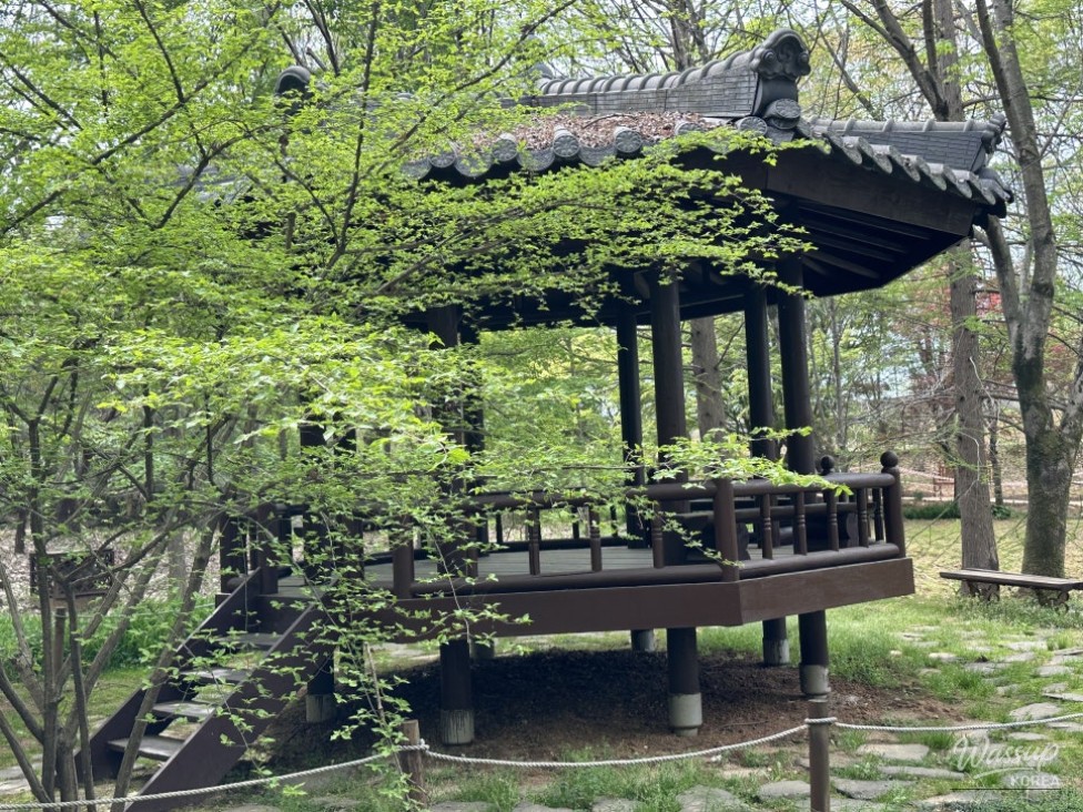 Spring Flower Attractions in Jeonju: Free Admission_03