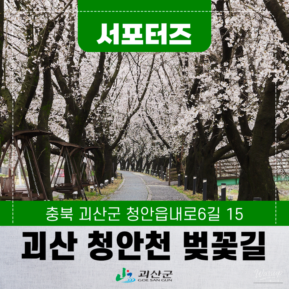 Exploring the Hidden Gem: Cheong An Stream Cherry Blossom Path in Goesan_01