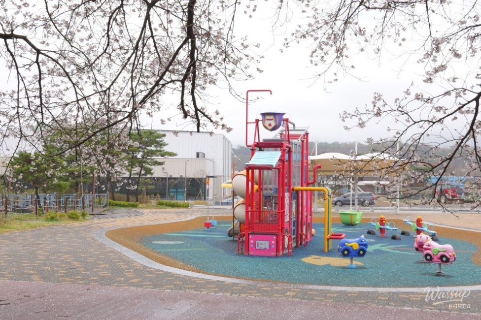 Exploring the Hidden Gem: Cheong An Stream Cherry Blossom Path in Goesan_10