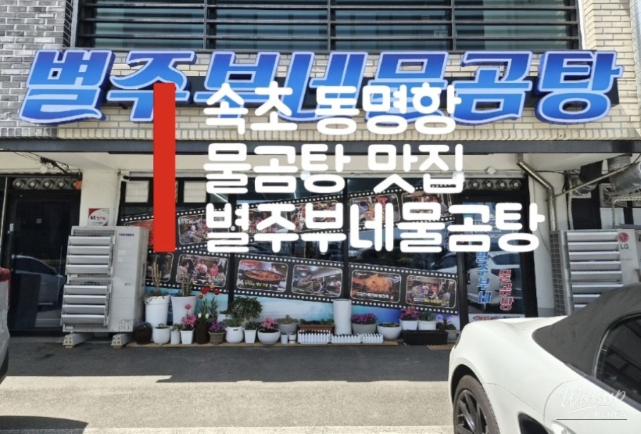 A Comforting Bowl of Water Crab Soup in Sokcho_02