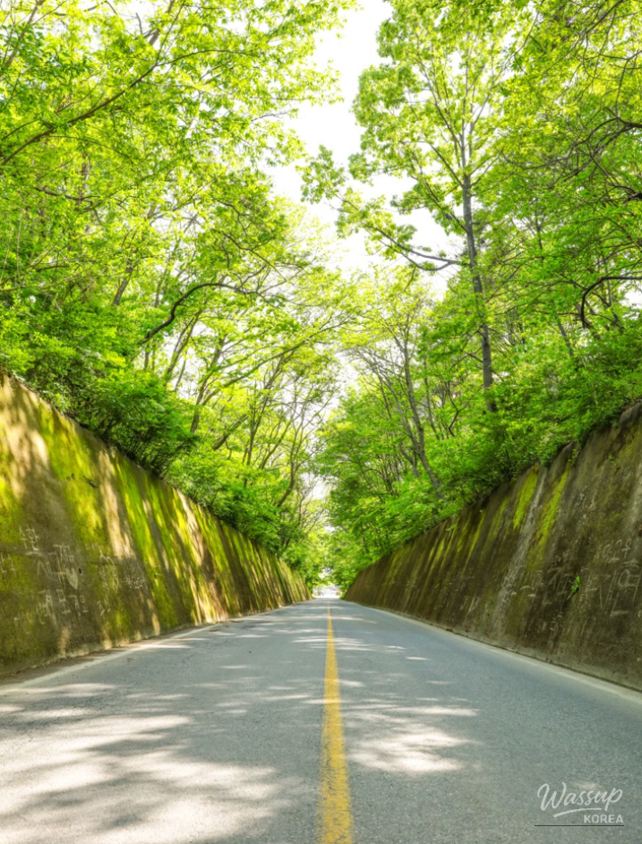 Explore Danyang: A Smart Day Trip Guide_10