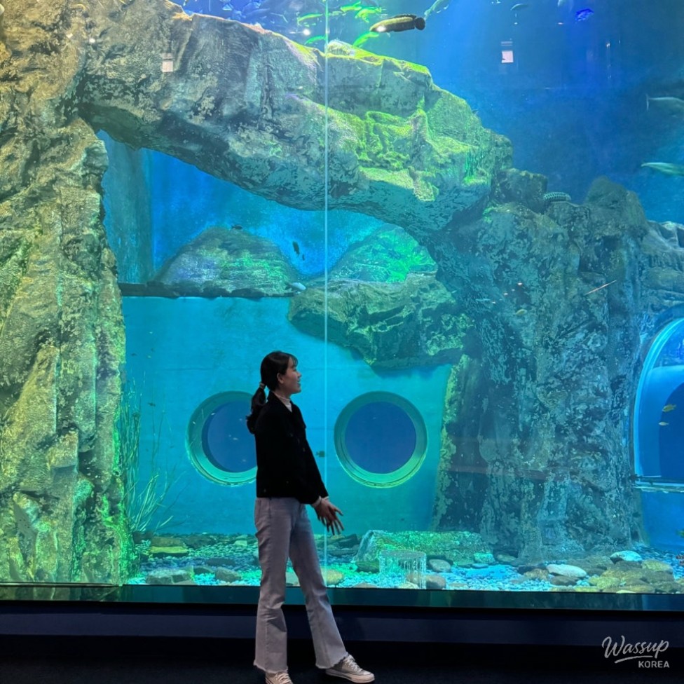 Explore Danyang: A Smart Day Trip Guide_07