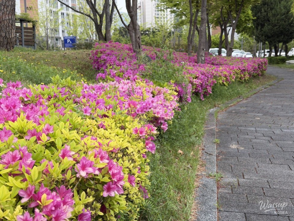 Exploring the LH Land and Housing Museum in Jinju, Gyeongnam_06