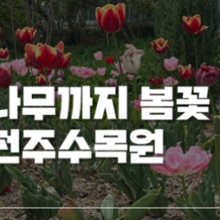 Spring Flower Attractions in Jeonju: Free Admission1682