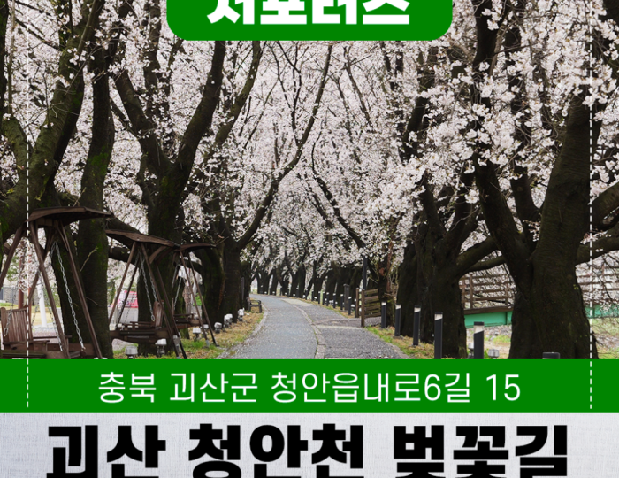 Exploring the Hidden Gem: Cheong An Stream Cherry Blossom Path in Goesan float