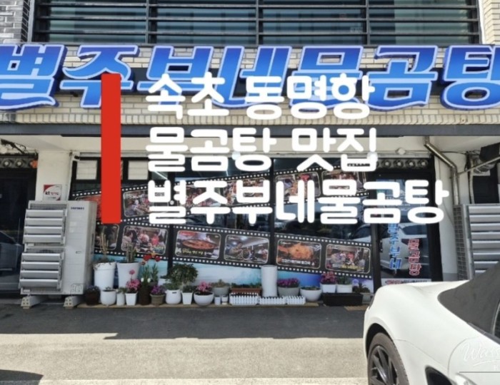 A Comforting Bowl of Water Crab Soup in Sokcho float