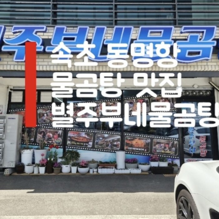 A Comforting Bowl of Water Crab Soup in Sokcho2146