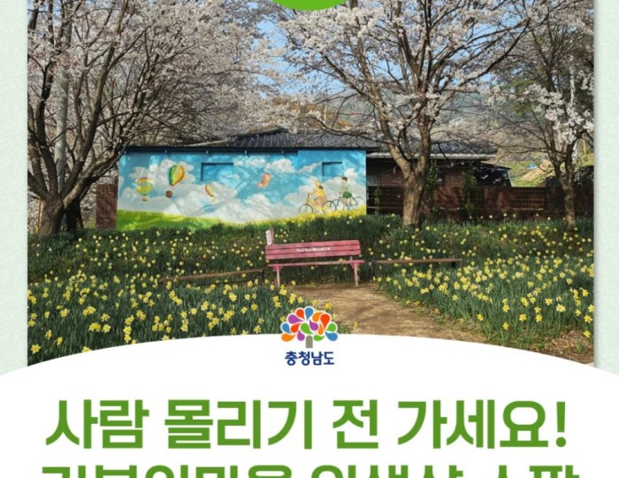 Exploring Turtle Village in Chungnam: A Hidden Spring Gem float