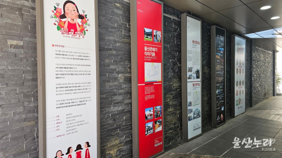 Exploring the Heart of Ulsan: The Big Aegi House_02