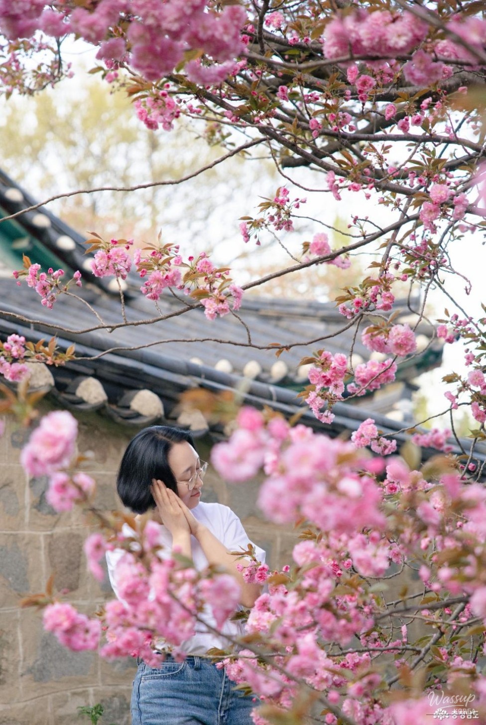 Exploring Seongam Seowon: A Hidden Gem in Spring_06