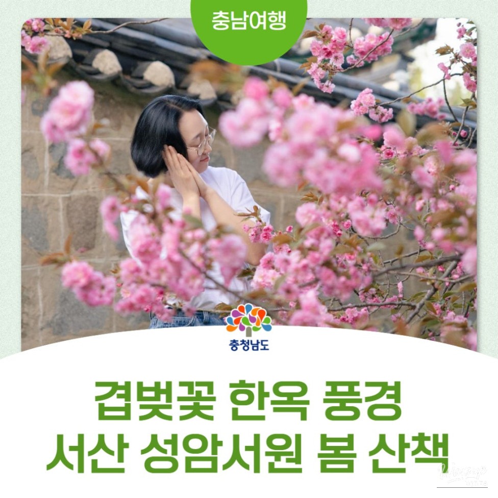 Exploring Seongam Seowon: A Hidden Gem in Spring_01
