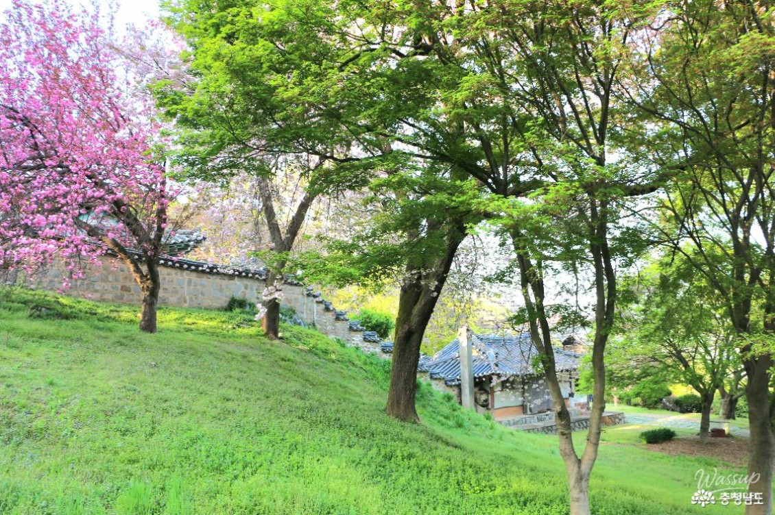 Exploring Seongam Seowon: A Hidden Gem in Spring_10