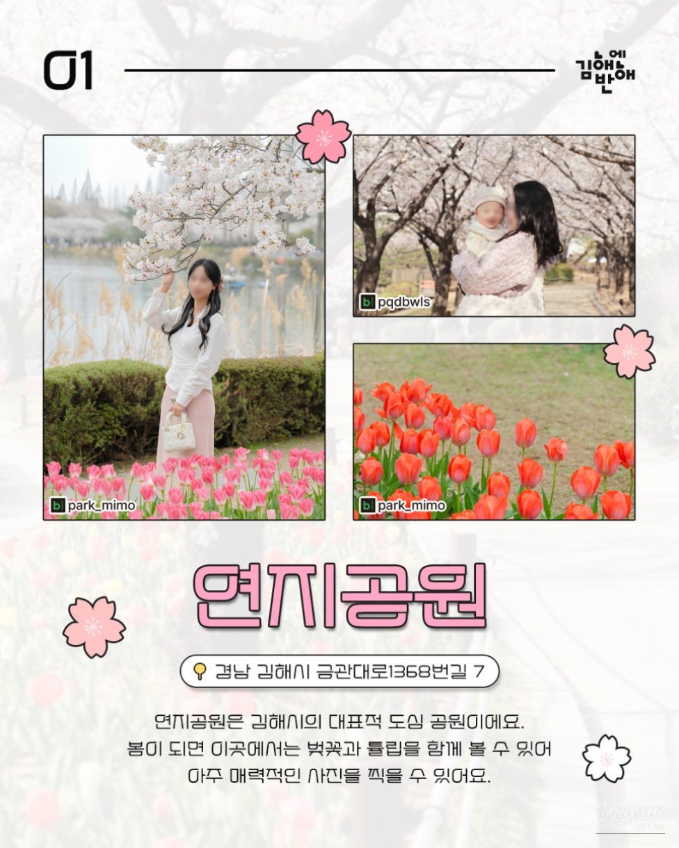 Cherry Blossom Spots in Gimhae for Next Year_02