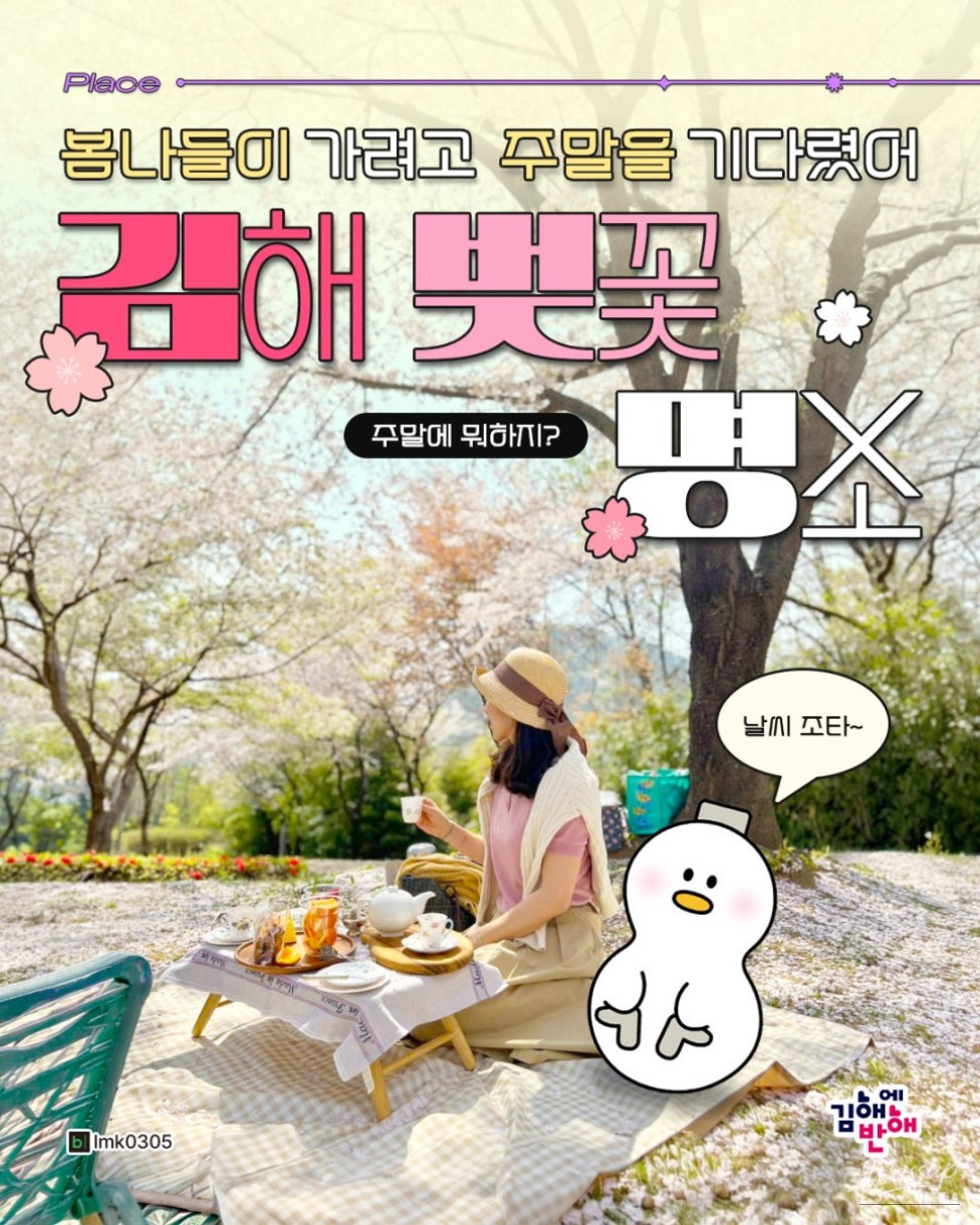 Cherry Blossom Spots in Gimhae for Next Year_01