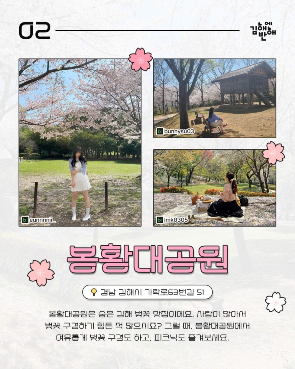 Cherry Blossom Spots in Gimhae for Next Year_03