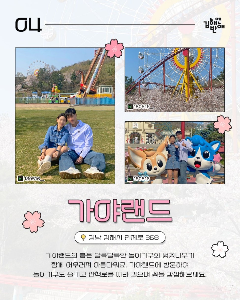 Cherry Blossom Spots in Gimhae for Next Year_05