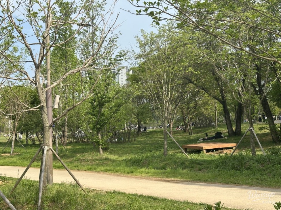Enjoying Strolls and Picnics at Sebyeongho Park_05