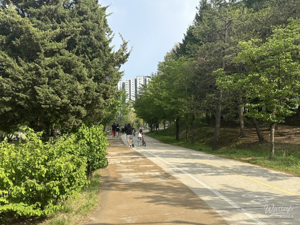 Enjoying Strolls and Picnics at Sebyeongho Park_04