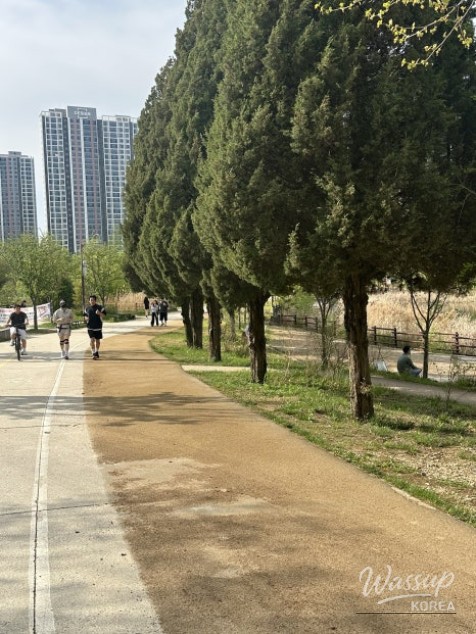 Enjoying Strolls and Picnics at Sebyeongho Park_03