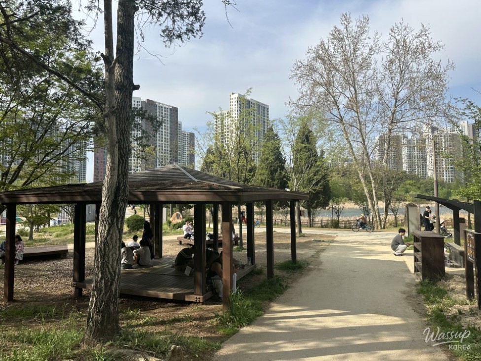 Enjoying Strolls and Picnics at Sebyeongho Park_02