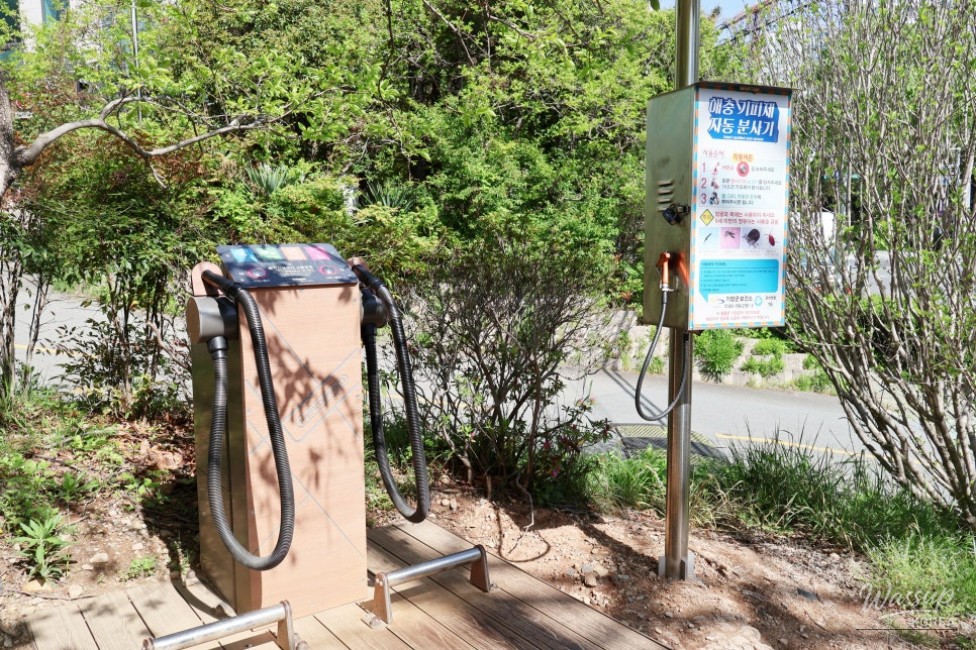 Exploring Mangwolsan Mountain: A Scenic Adventure_05