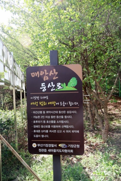 Exploring Mangwolsan Mountain: A Scenic Adventure_04