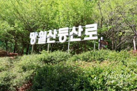 Exploring Mangwolsan Mountain: A Scenic Adventure_03