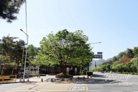 Exploring Mangwolsan Mountain: A Scenic Adventure_02