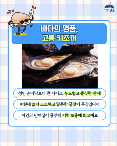 Treasures of the Sea: Clams and Scallops from Goheung_04