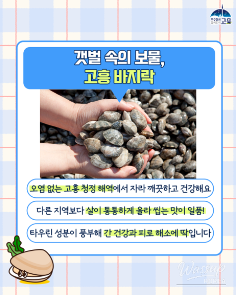 Treasures of the Sea: Clams and Scallops from Goheung_03