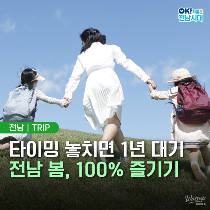 Spring Adventures in Jeonnam: Creating Lasting Memories3394