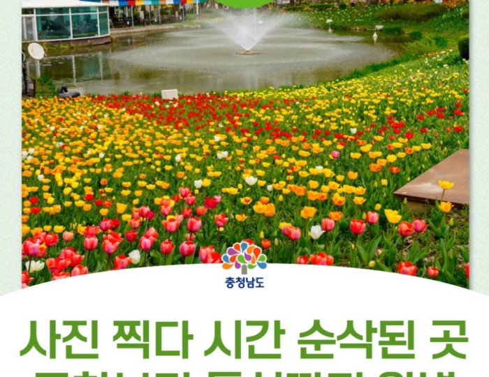 A Day in Asan's Pinnacle Land Arboretum float