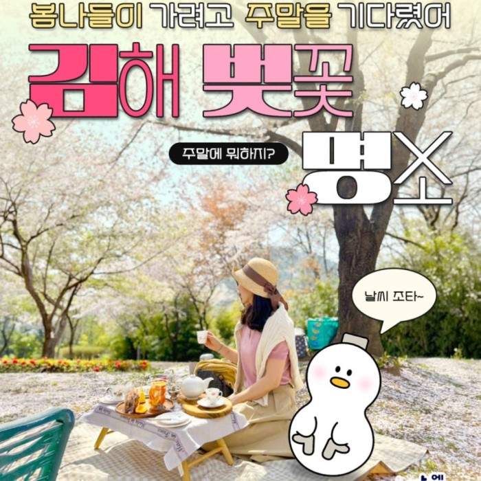 Cherry Blossom Spots in Gimhae for Next Year257