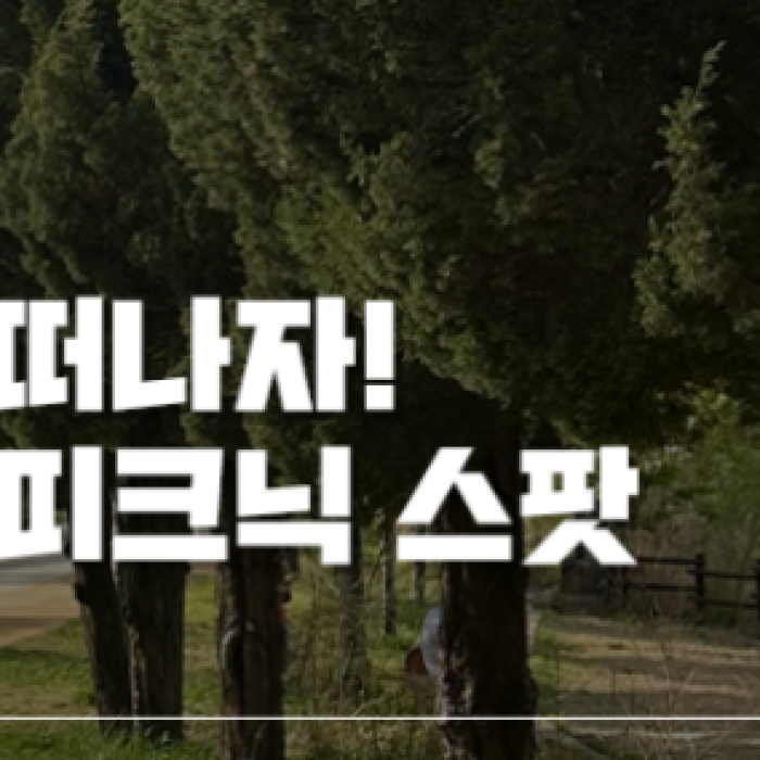 Enjoying Strolls and Picnics at Sebyeongho Park1696