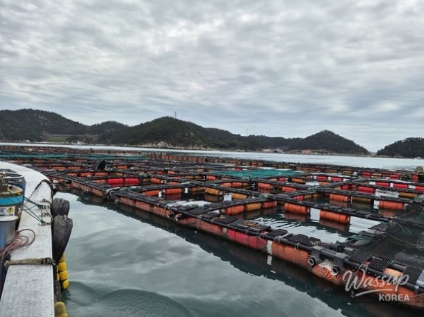 Shinan County's Response to Climate Change in Aquaculture_02