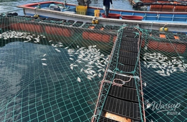 Shinan County's Response to Climate Change in Aquaculture_03