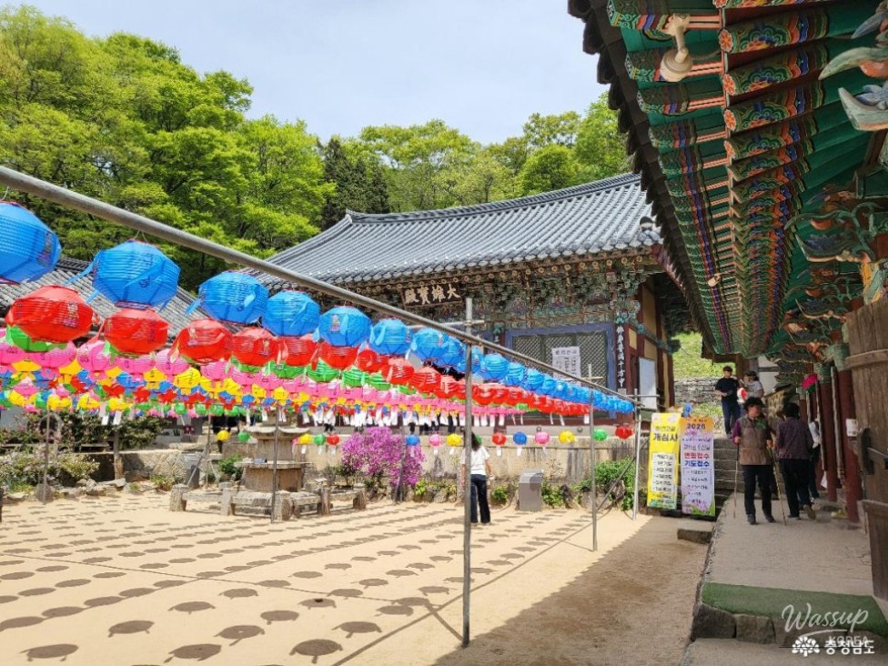 Exploring the Beauty of Gaesimsa Temple and Its Cherry Blossoms_04