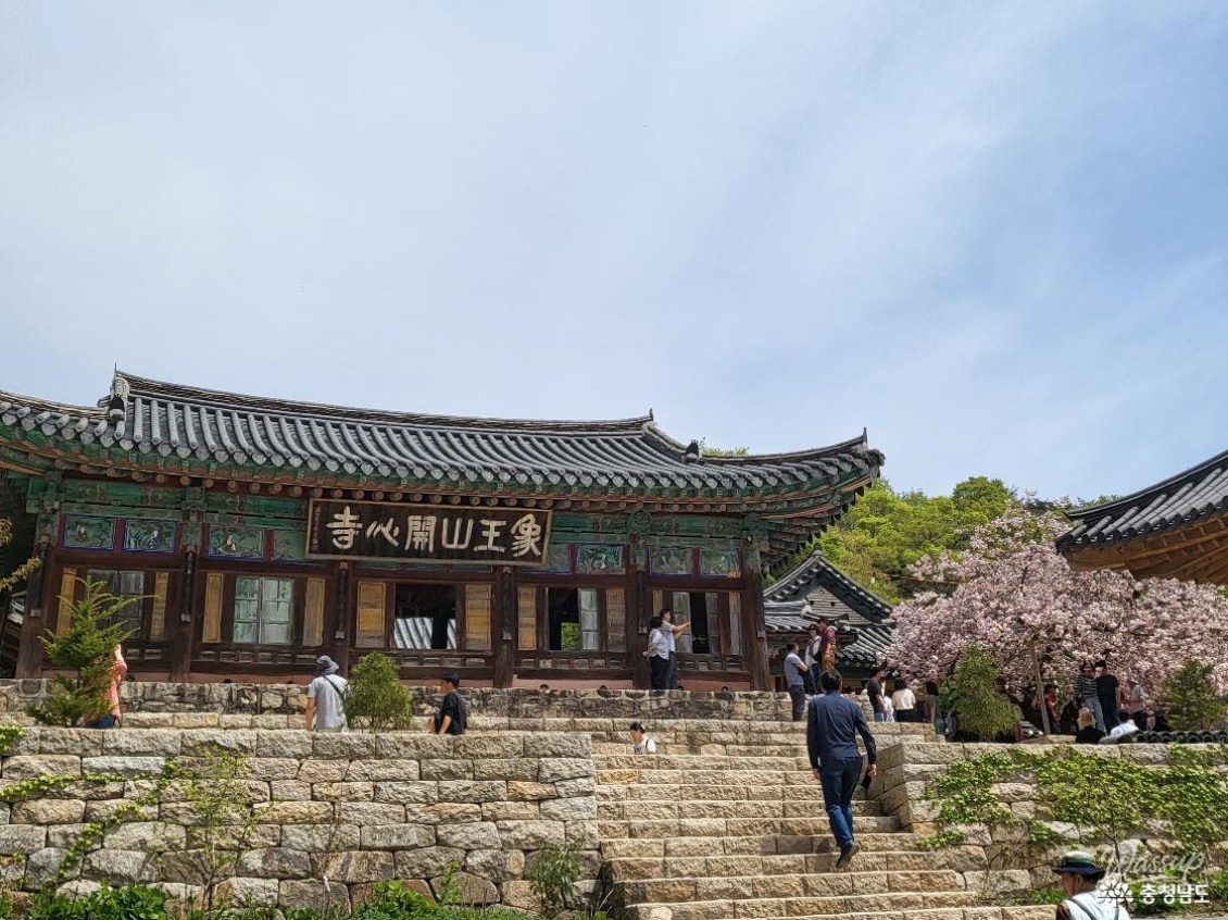 Exploring the Beauty of Gaesimsa Temple and Its Cherry Blossoms_03