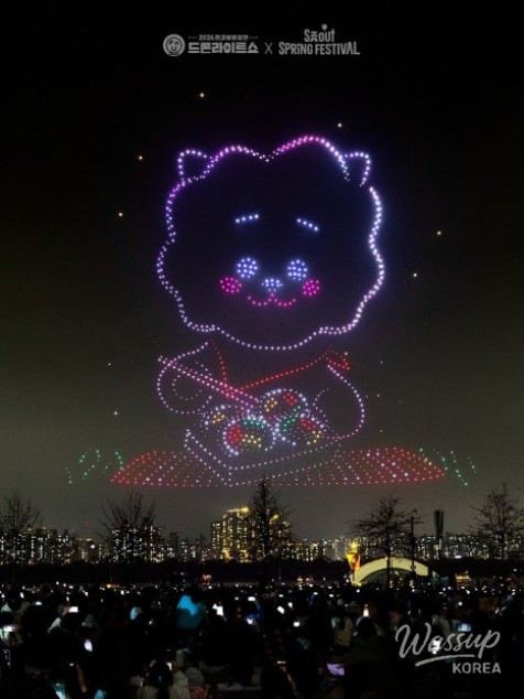 2026 Han River Drone Light Show: Experience the Magic_03
