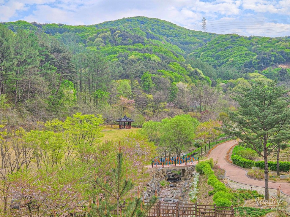 Exploring the Healing Forest of Saenggeo Jincheon_09