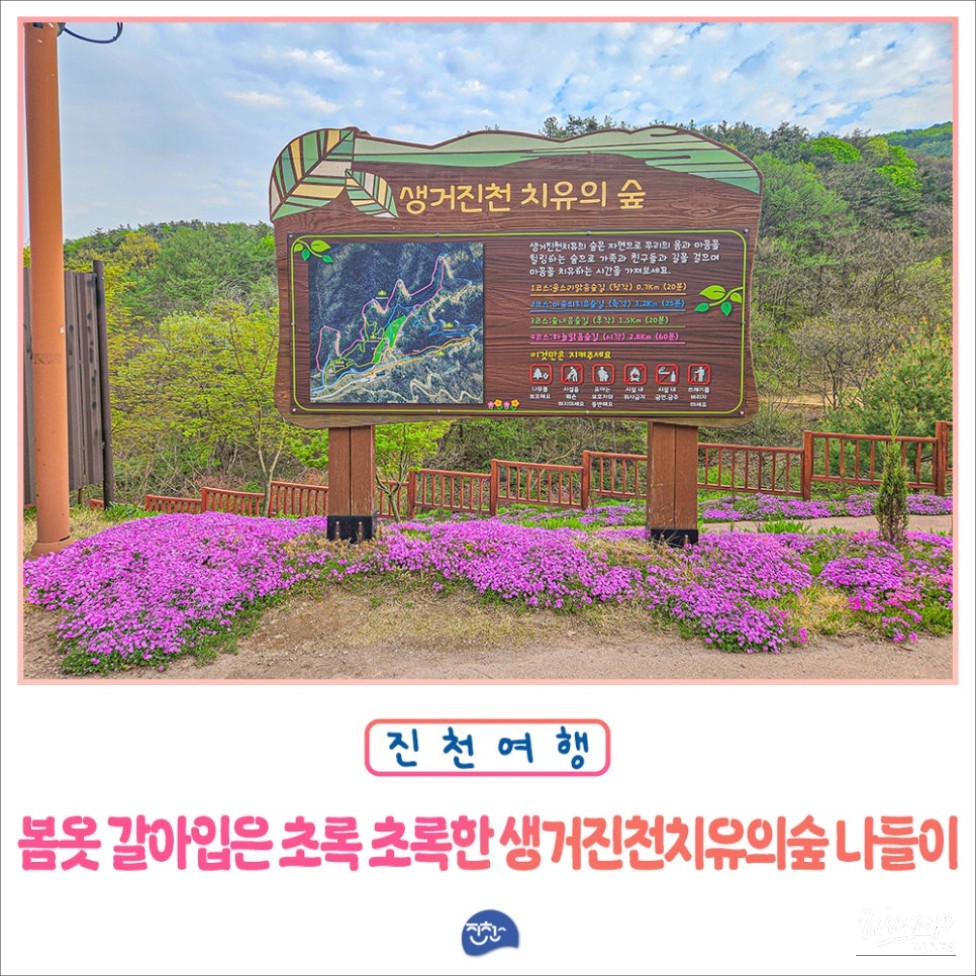 Exploring the Healing Forest of Saenggeo Jincheon_01