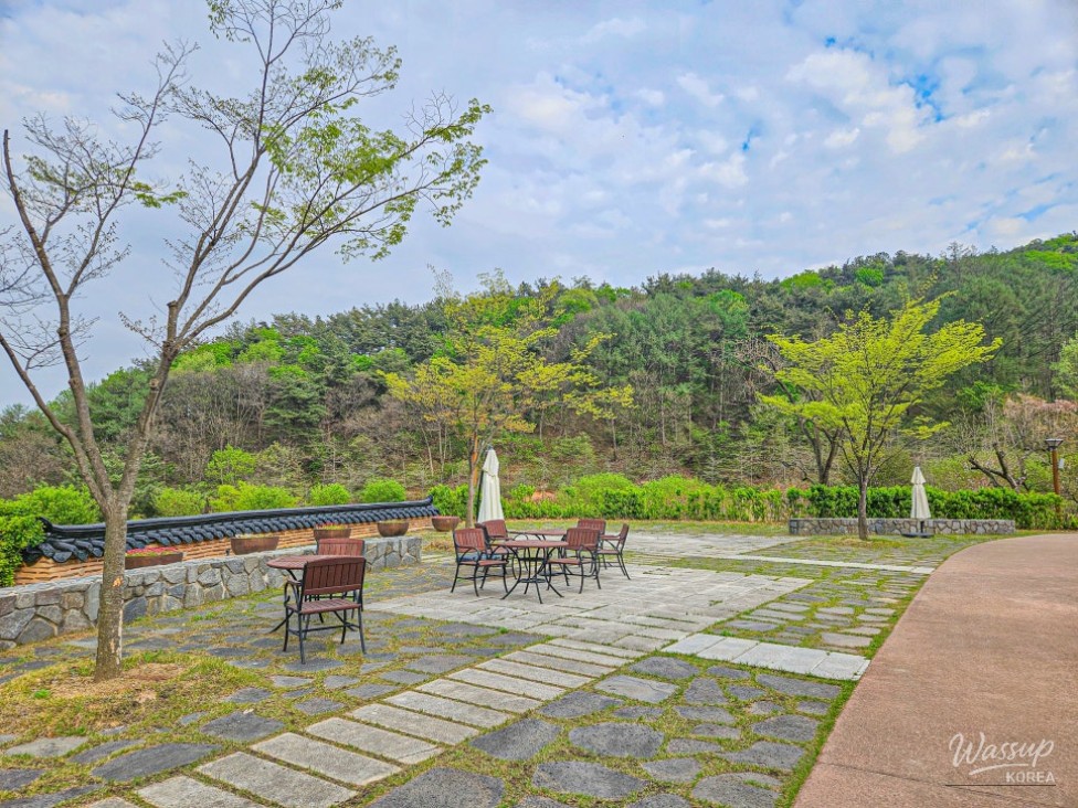Exploring the Healing Forest of Saenggeo Jincheon_11