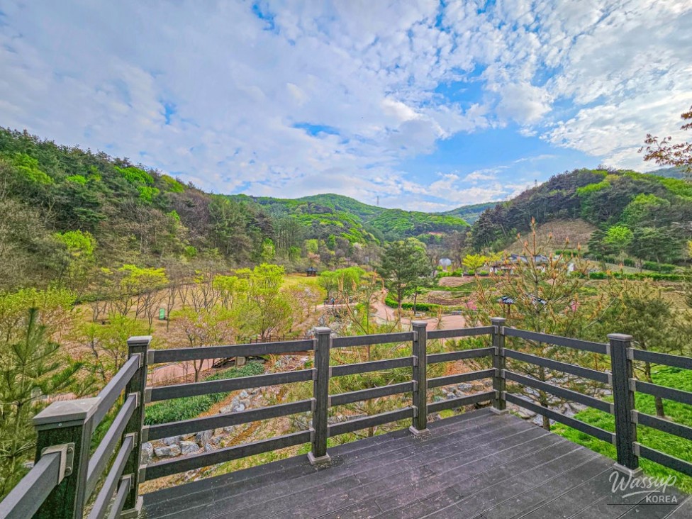 Exploring the Healing Forest of Saenggeo Jincheon_08