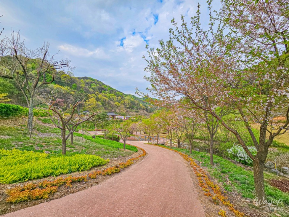 Exploring the Healing Forest of Saenggeo Jincheon_13