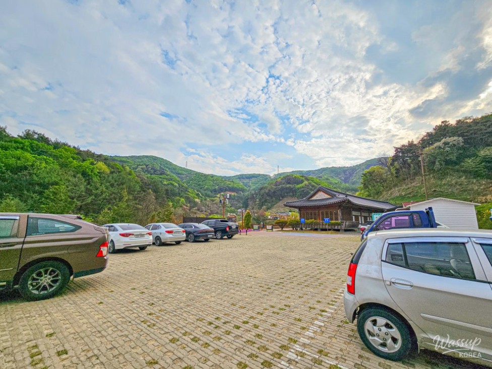 Exploring the Healing Forest of Saenggeo Jincheon_03
